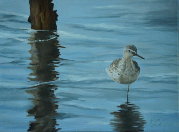 Bird in Repose