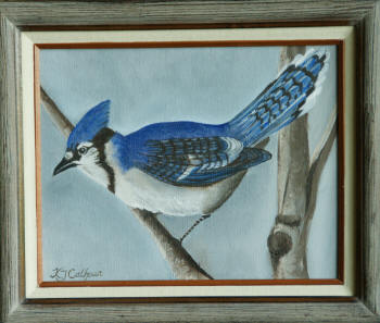 Blue Jay