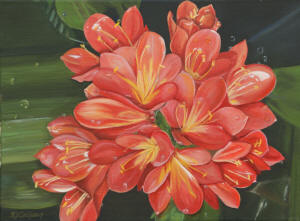 California Color Burst