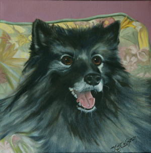 Cissy