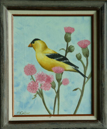 Goldfinch