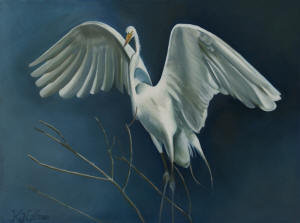 Great White Egret
