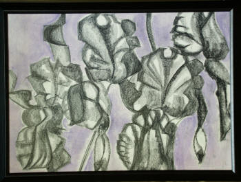 Iris #1