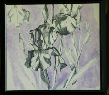 Iris #3