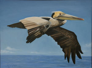 Majesty in Flight