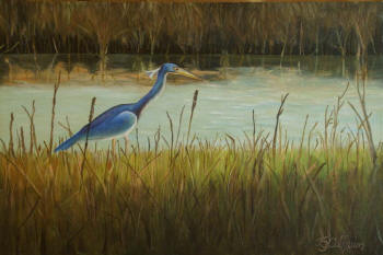 Night Heron