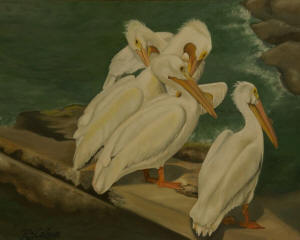 Pelicans