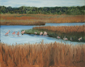 Roseate Spoonbills