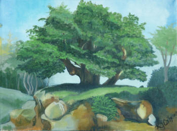 Shade Tree